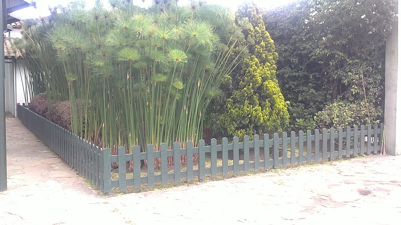 jardinería y paisajismo diseño de jardines jardinería macetas jardinería en casa jardinería practicas utilísimas jardinería básica jardinería paisajismo jardinería práctica siembra de jardin 0 jardinería y paisajismo diseño de jardines jardinería macetas jardinería en casa jardinería practicas utilísimas jardinería básica jardinería paisajismo jardinería práctica siembra de jardin 0
